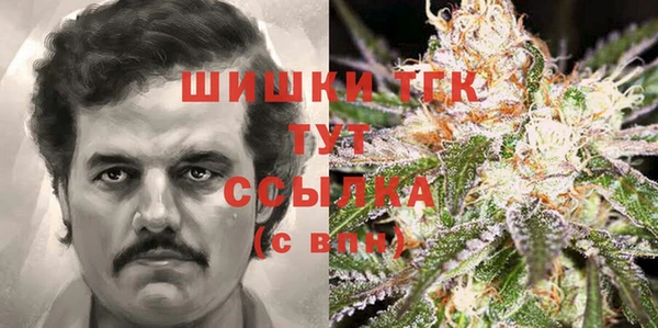a pvp Абаза
