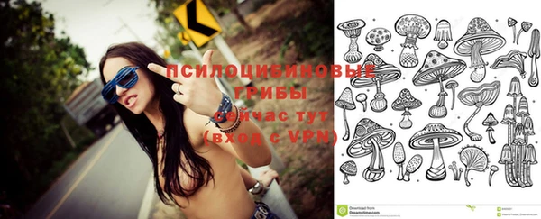 PSILOCYBIN Абинск